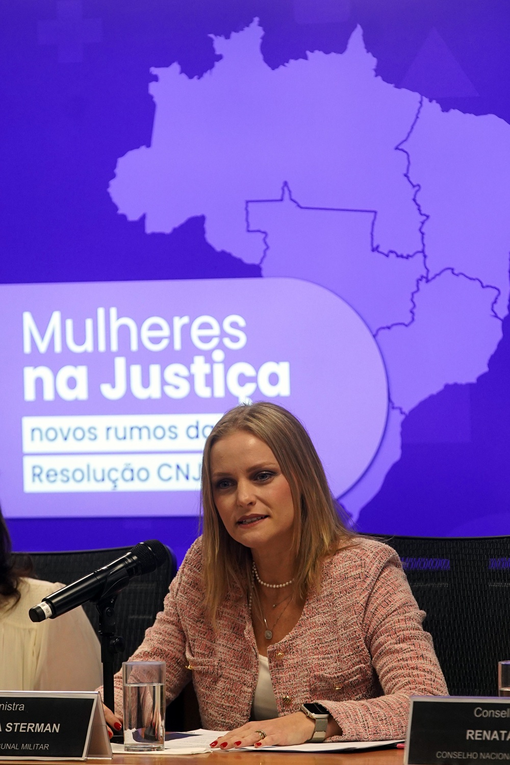 ministra destaca avancos e desafios 4