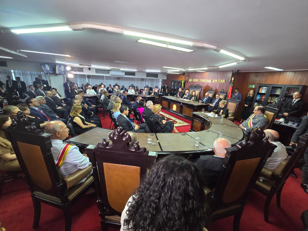 veronica toma posse 7