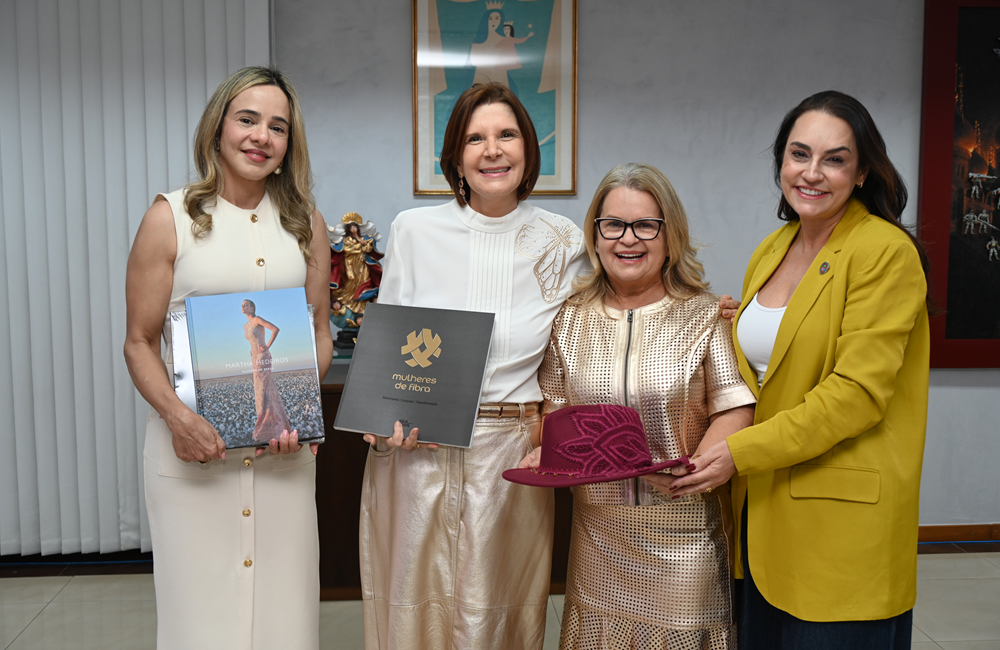 presidente stm recebe empresaria agronegocio 2
