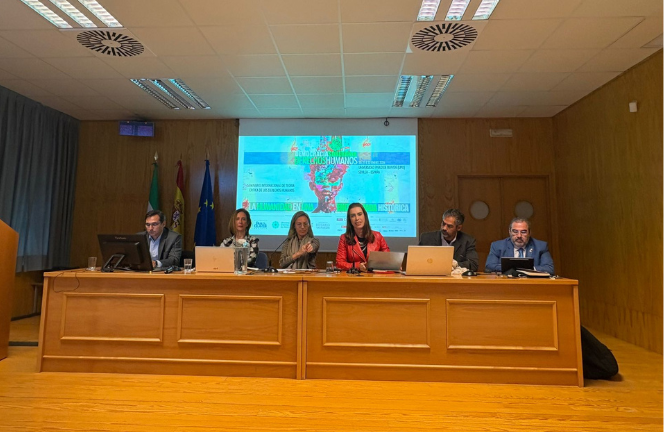 stm defende fortalecimento 3