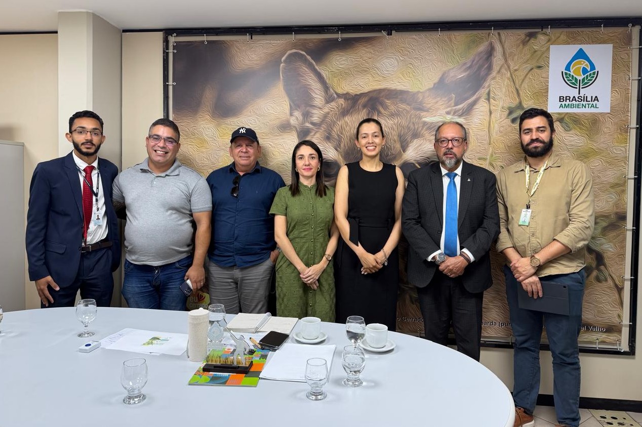 STM articula parcerias para ações de reflorestamento e sustentabilidade 